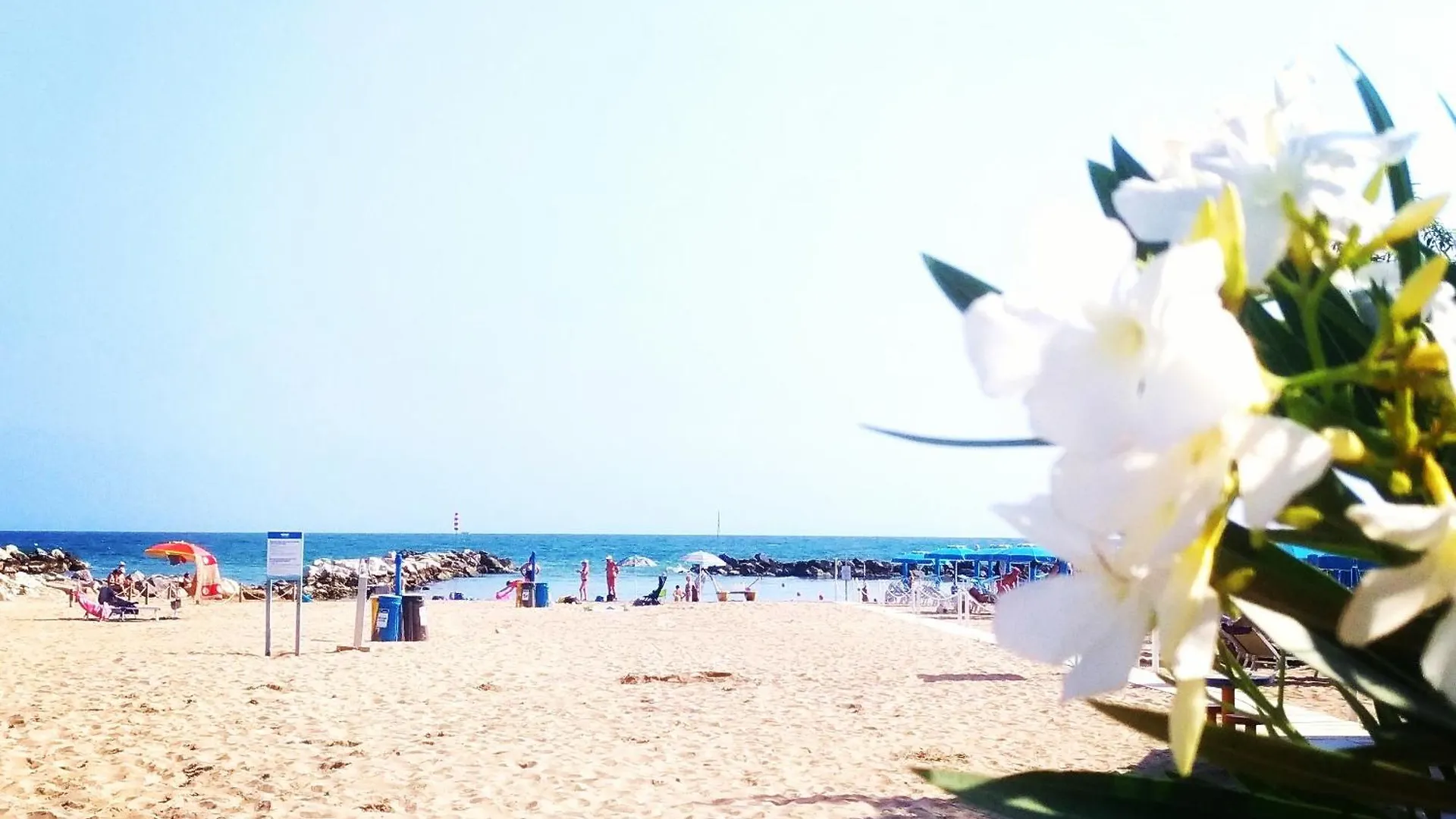 Hotel Hamiltown Cattolica 3*,  Italy