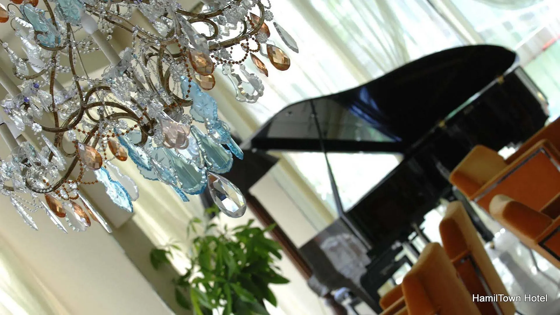 Hotel Hamiltown Cattolica